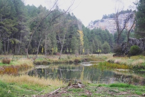 Las otoñales riberas del Río Lobos